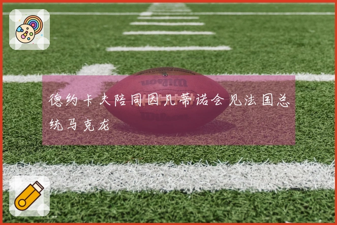 德约卡夫陪同因凡蒂诺会见法国总统马克龙